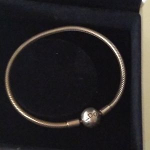 Pandora Charm Starter Bracelet